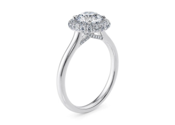 2.50 Ct Round Cut Double Halo Diamond Engagement Ring in White Gold - Image 4